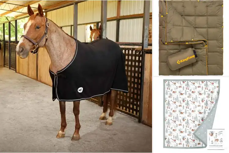Detailed view of Best 69 Inch Blankets