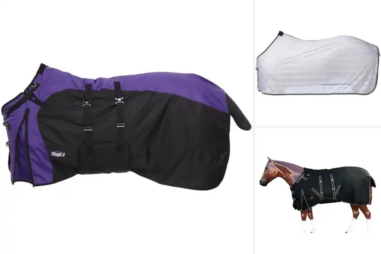 Detailed view of Best 69 Inch Equestrian Supplies
