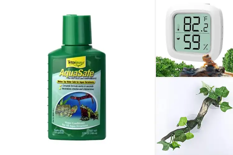 Detailed view of Best Amphibian Accessories: Create a Safe & Thriving Home