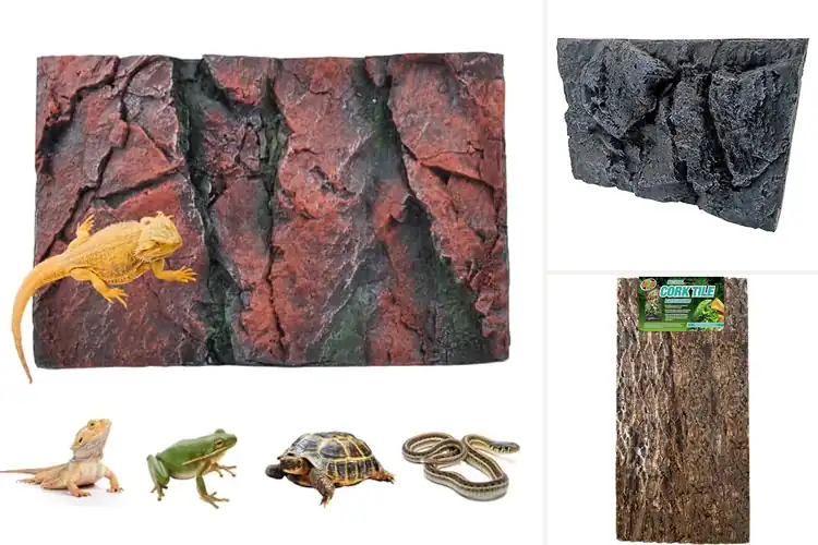 Detailed view of Best Amphibian Backgrounds
