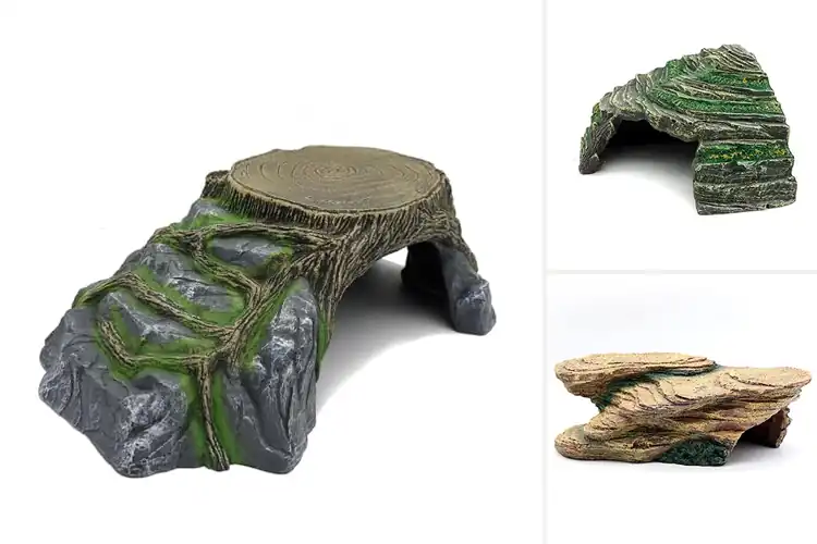 Detailed view of Best Amphibian Hideouts