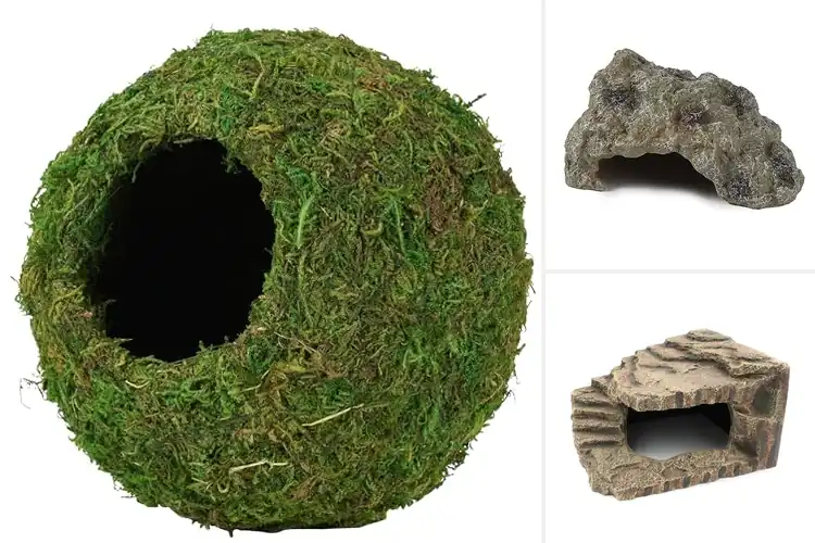 Detailed view of Best Amphibian Hides: Top Cozy Picks for Your Terrarium