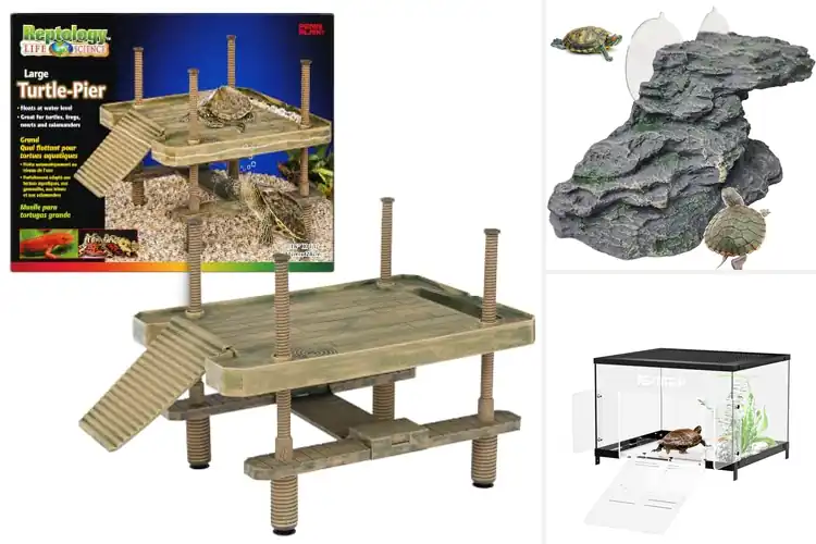Detailed view of Best Aquatic Turtle Platforms for Comfort and Safety