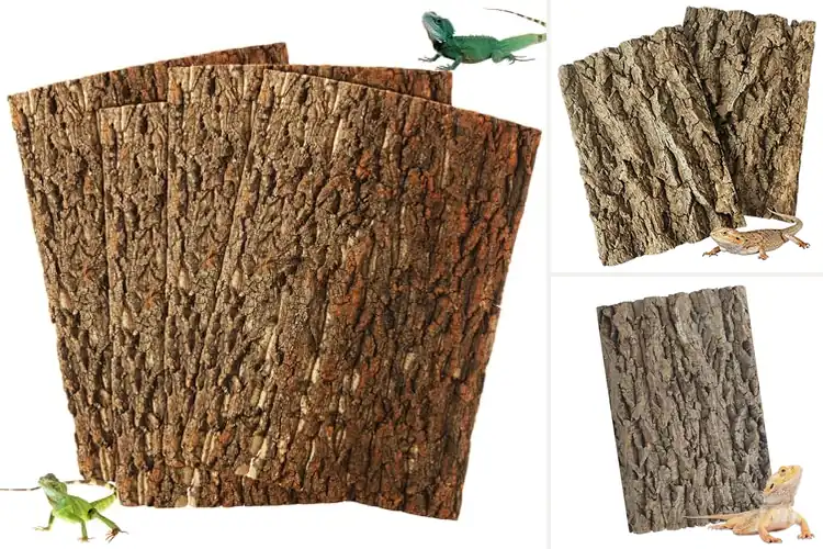 Detailed view of Best Cork Backgrounds For Reptile Tanks