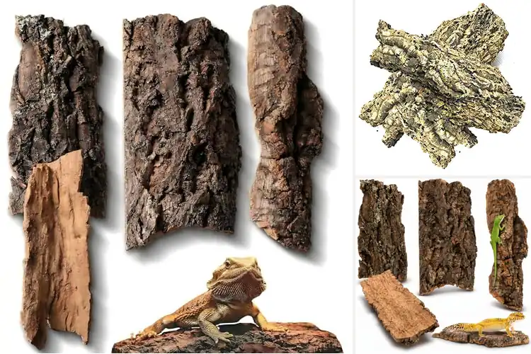 Detailed view of Best Cork Flats For Amphibian Enclosures