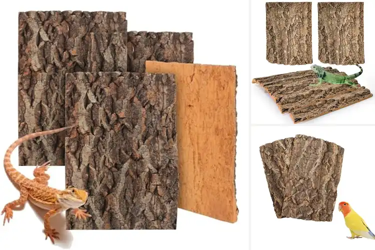 Detailed view of Best Cork Flats: Top 10 Picks for a Natural Pet Habitat