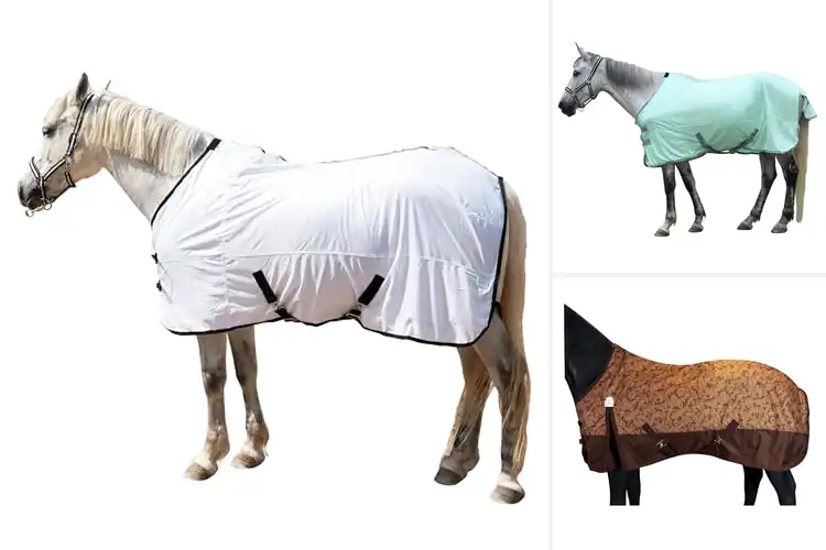 Detailed view of Best Cross Surcingles Stable Sheets