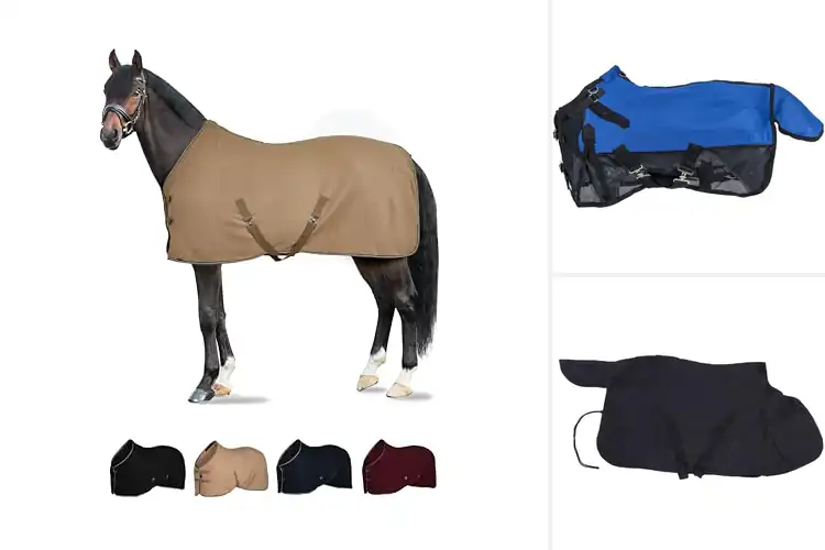 Detailed view of Best Crossed Surcingle Blankets
