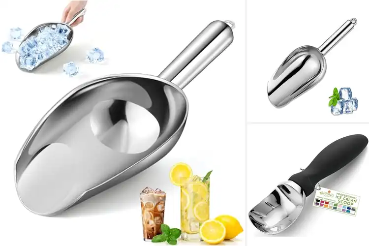 Detailed view of Best Dishwasher Safe Scoops
