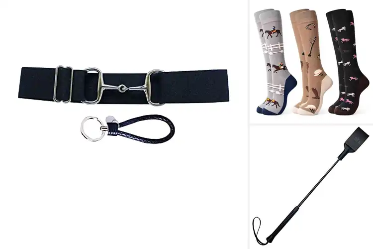 Detailed view of Best Equestrian Supplies: Top Picks for Riders & Horses
