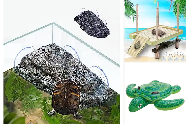 Detailed view of Best Floating Rafts For Aquatic Turtles
