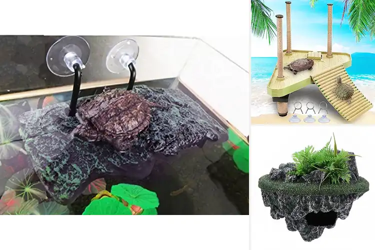 Detailed view of Best Floating Rafts For Turtles