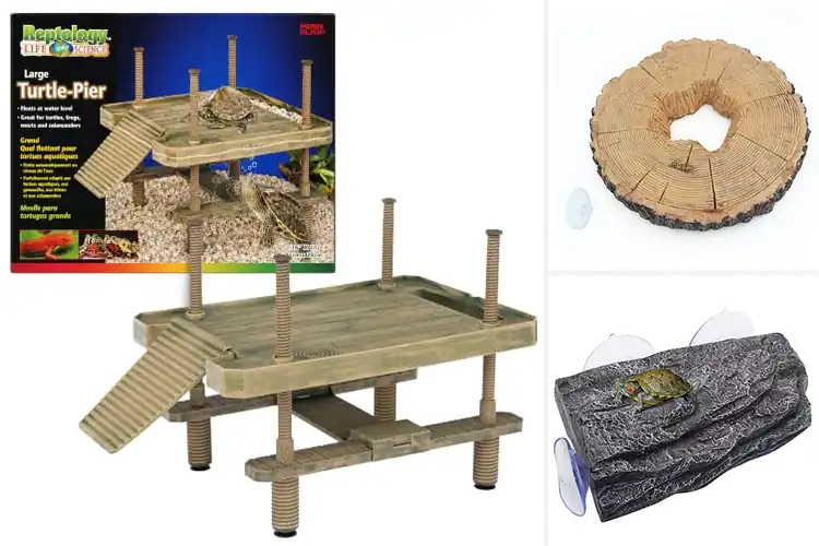 Detailed view of Best Floating Turtle Platforms