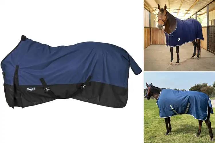 Detailed view of Best Horse Blankets