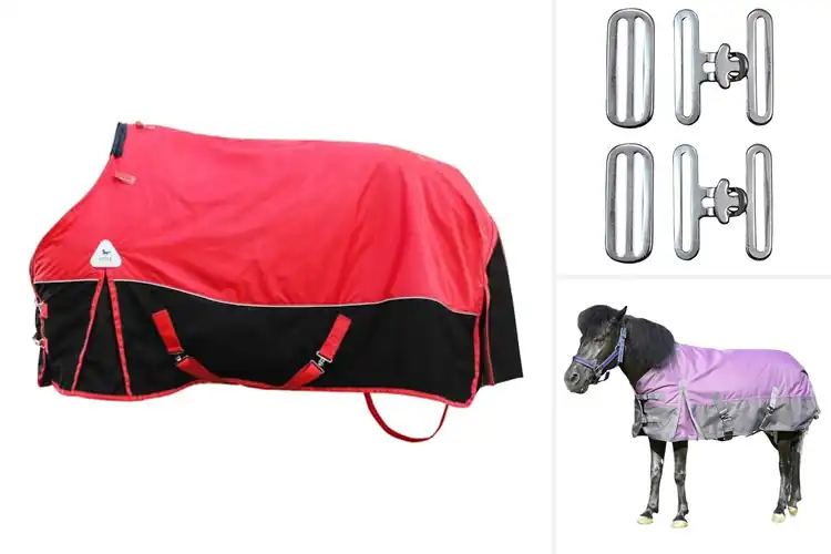 Detailed view of Best Horse Blankets With Crossed Surcingles
