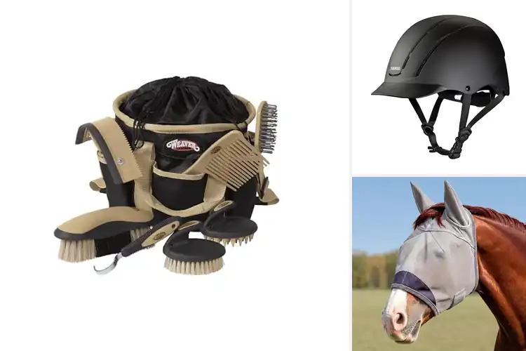 Detailed view of Best Horse Gear: Top 10 Picks for Smoother, Safer Rides