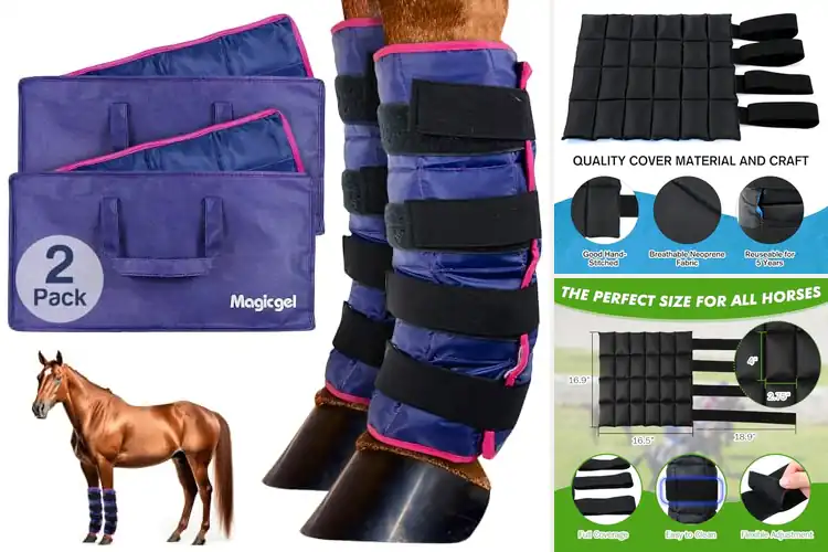 Detailed view of Best Horse Ice Boots: Top 10 Picks for Faster Recovery