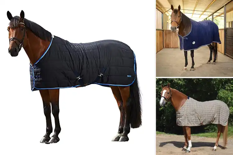 Detailed view of Best Horse Stable Blankets