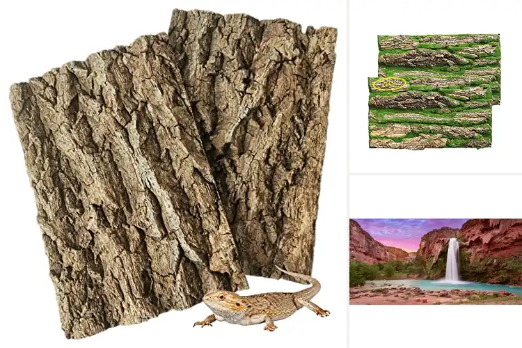 Detailed view of Best Large Terrarium Backdrops