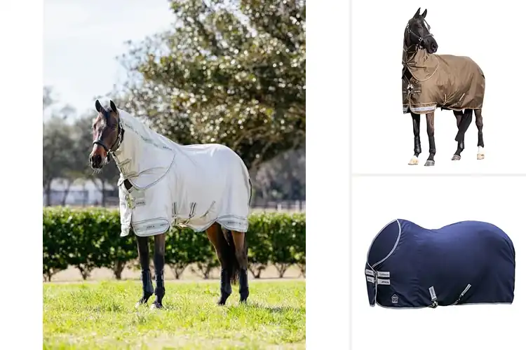 Detailed view of Best LeMieux Blankets