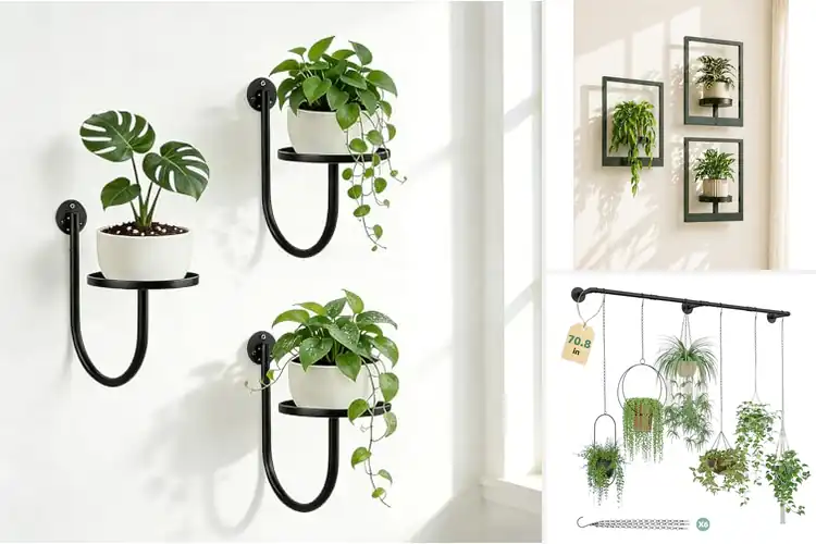 Detailed view of Best Live Plant Mounts