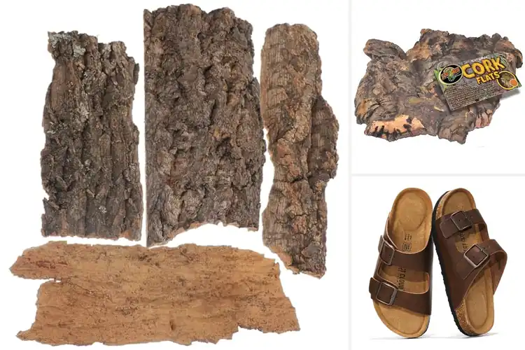 Detailed view of Best Medium Cork Flats: Effortless Style & Comfort Guide