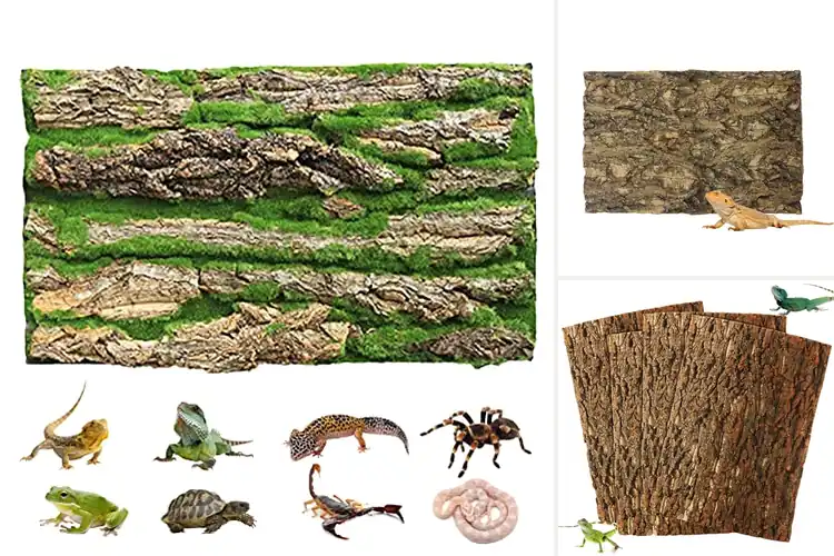 Detailed view of Best Natural Backgrounds For Amphibian Tanks