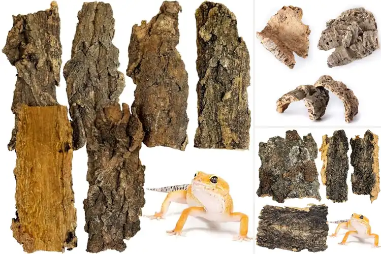 Detailed view of Best Natural Cork Flats For Terrariums
