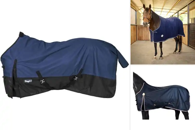 Detailed view of Best Navy Horse Blankets for Warmth, Comfort & Style