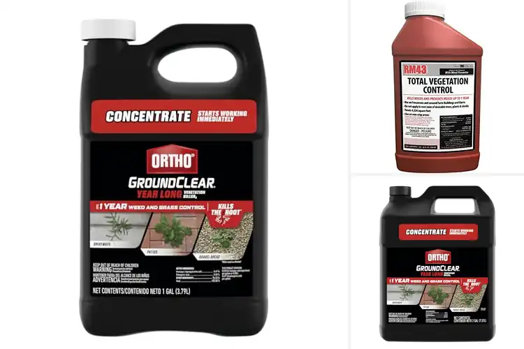 Detailed view of Best Non-Selective Herbicides