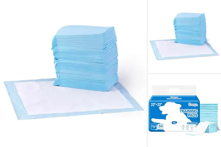 Detailed view of Best Pet Training Pads: Top Picks for a Cleaner Home
