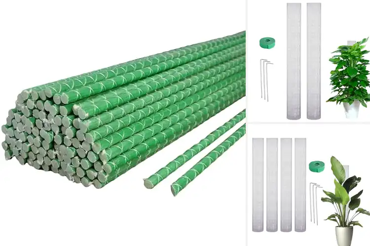 Detailed view of Best Plant Attachment Surfaces