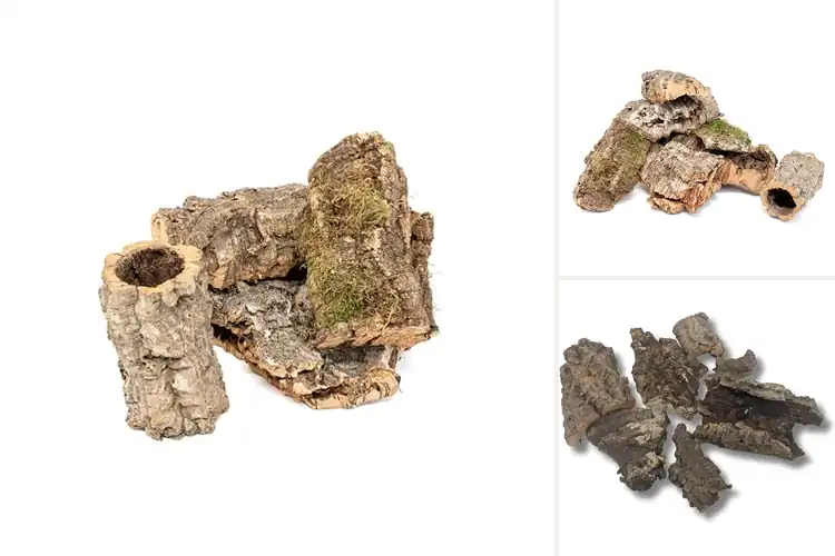 Detailed view of Best Plant Mounting Corks for Stunning Natural Displays