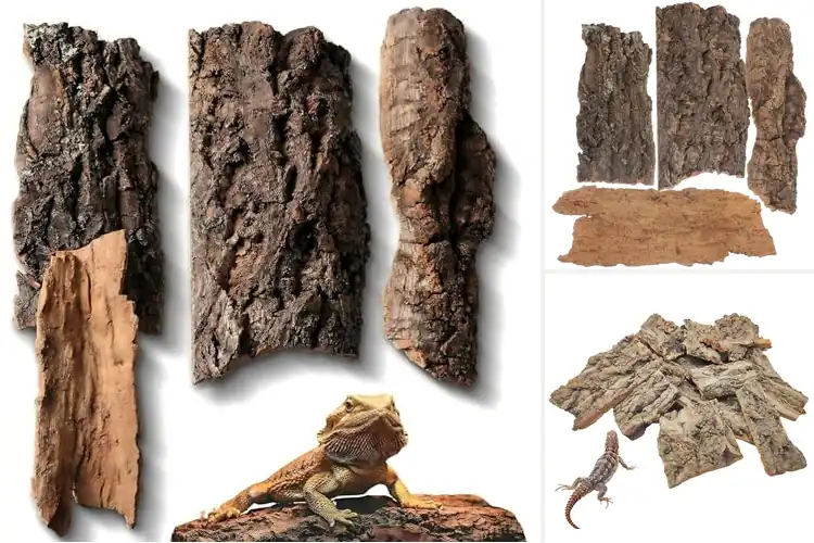Detailed view of Best Reptile Cork Flats: Comfort & Safety for Your Pet