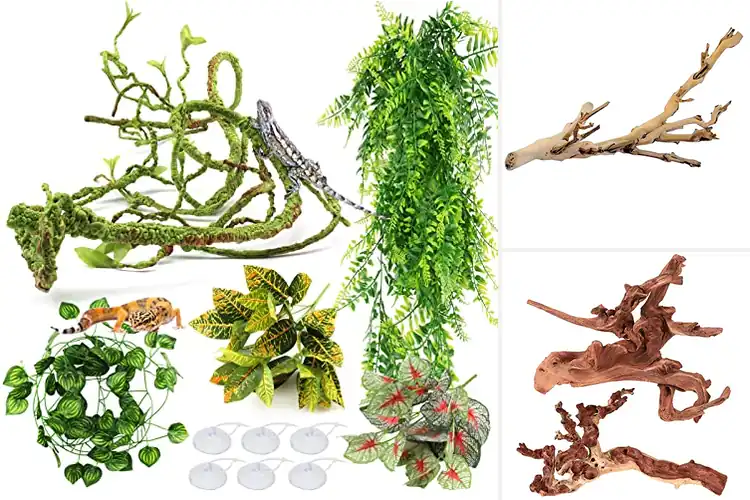 Detailed view of Best Reptile Decor for a Stunning Natural Habitat
