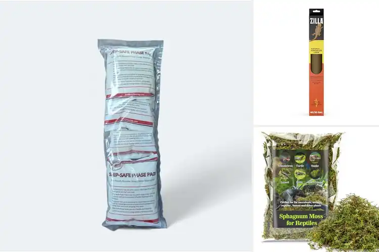 Detailed view of Best Reptile Safe Materials