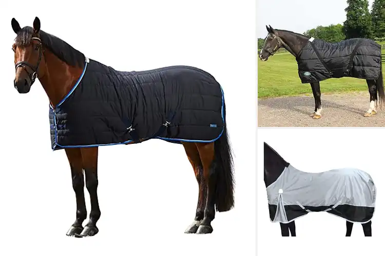 Detailed view of Best Stable Blankets: Ultimate Guide for Warmth & Comfort