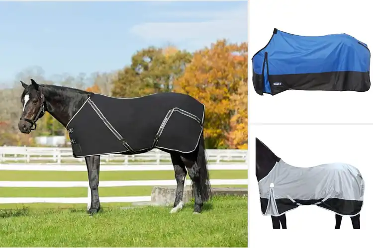 Detailed view of Best Stable Sheets For Horses: Top 10 Picks for Cozy Comfort