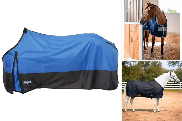 Detailed view of Best Stable Sheets