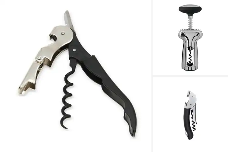 Detailed view of Best Stainless Steel Corkscrews for Easy Opening