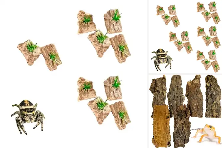 Detailed view of Best Tarantula Cork Pieces for a Natural, Safe Hideout