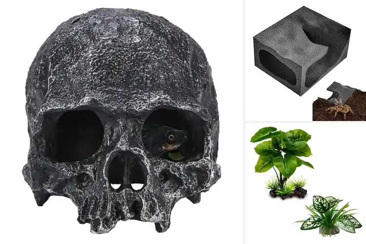 Detailed view of Best Tarantula Decor to Elevate Your Enclosure