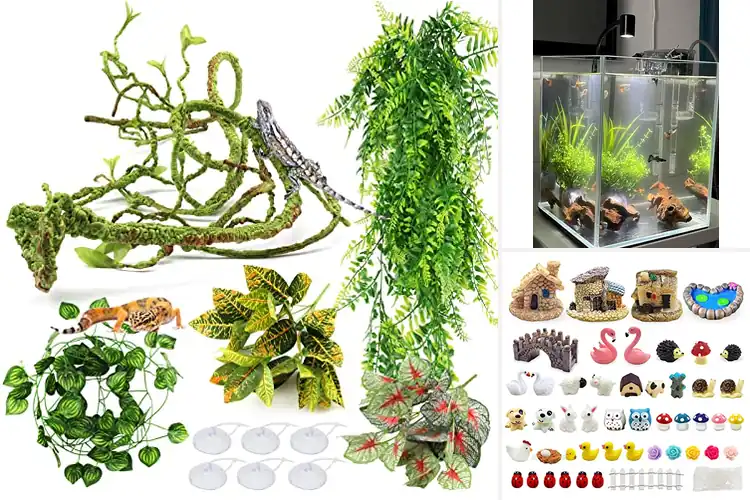 Detailed view of Best Terrarium Decorations