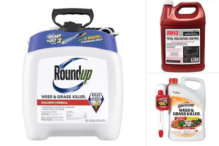 Detailed view of Best Weed Killers